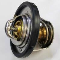 Genuine Ford Thermostat DM5G8575AA