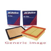 ACDelco Air Filter ACA204 x-ref-A1694 19246936