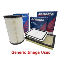 ACDelco Air Filter ACA334 19346919