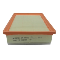 Genuine Mitsubishi Air Filter 165460835R