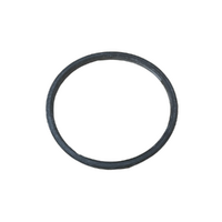 Genuine Nissan Ring-Rubber 21304-JA11A